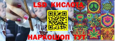 мдпв Гусев