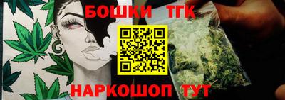 гидропоника Гусиноозёрск