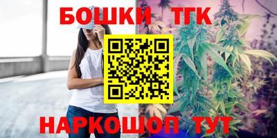мдпв Гусев