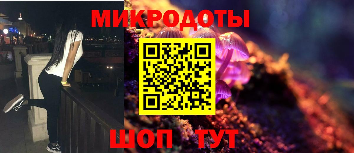 Псилоцибиновые грибы Psilocybe  Галлюциногенные грибы MAGIC MUSHROOMS  Майкоп  Вход с VPN 