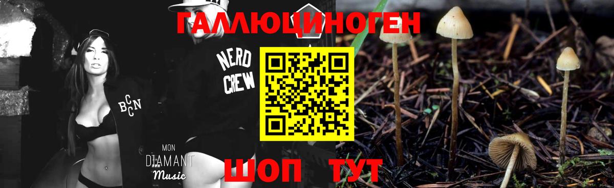 Alpha PVP Майкоп